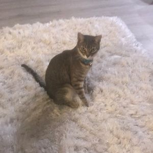 Meet your Posher, Michelle